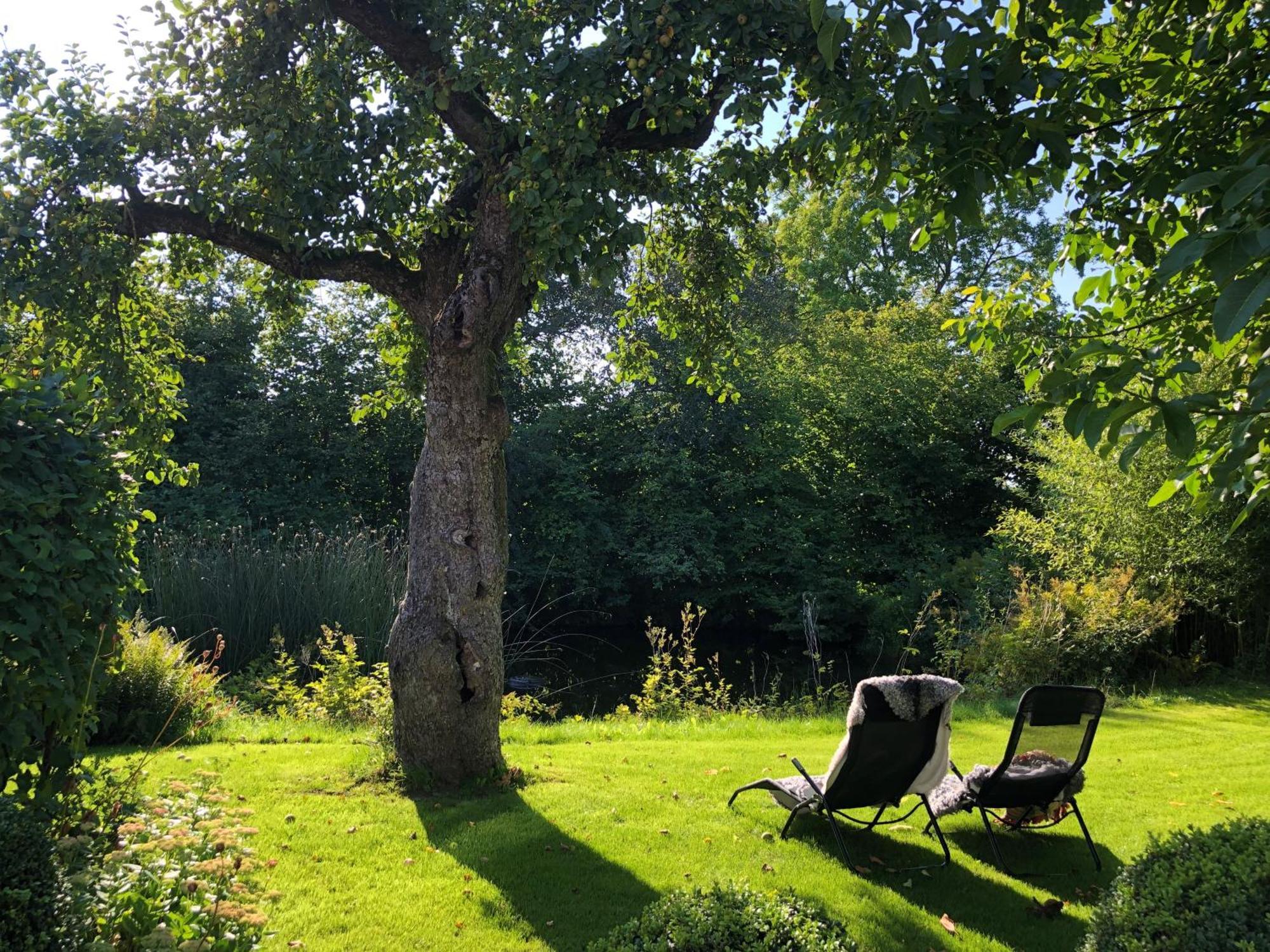 Villa Maria Garden Cottages, Helsingborg Exteriér fotografie
