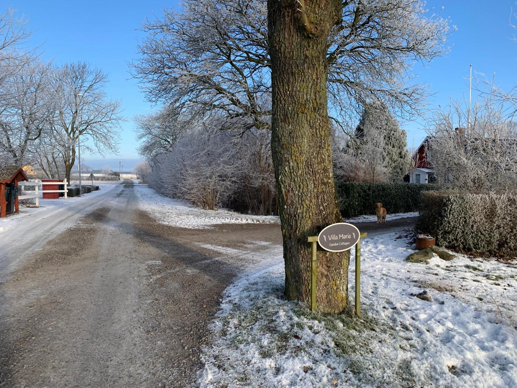 Villa Maria Garden Cottages, Helsingborg Exteriér fotografie